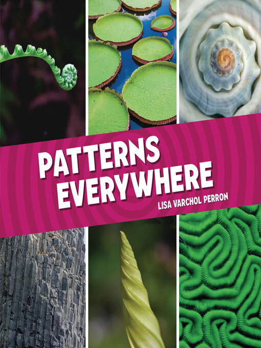 Title details for Patterns Everywhere by Lisa Varchol Perron - Available